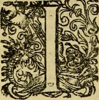 An illustration from D. Francisci Dvareni i.c. celeberrimi, Omnia qvae qvidem hactenvs edita fvervnt opera : non tantvm plvrimis in Digesta seu Pandectas, & Codicem commentariis ac methodicis expositionibus (1598)