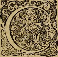An illustration from D. Francisci Dvareni i.c. celeberrimi, Omnia qvae qvidem hactenvs edita fvervnt opera : non tantvm plvrimis in Digesta seu Pandectas, & Codicem commentariis ac methodicis expositionibus (1598)