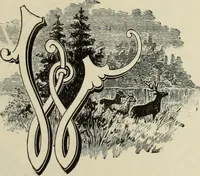 An illustration from Style (1893) (1893)