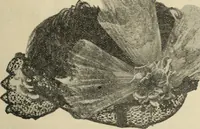 An illustration from Style (1893) (1893)