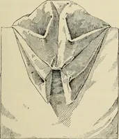 An illustration from Style (1893) (1893)