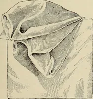 An illustration from Style (1893) (1893)