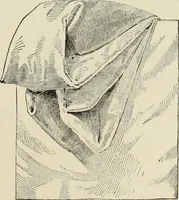 An illustration from Style (1893) (1893)