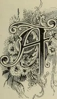 An illustration from Style (1893) (1893)