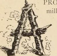 An illustration from Style (1893) (1893)