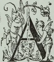 An illustration from Style (1893) (1893)