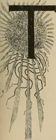 An illustration from Style (1893) (1893)