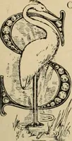 An illustration from Style (1893) (1893)