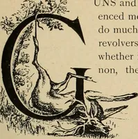 An illustration from Style (1893) (1893)