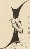 An illustration from Style (1893) (1893)