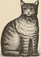 An illustration from Style (1893) (1893)