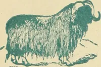 An illustration from Style (1893) (1893)