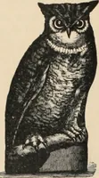 An illustration from Style (1893) (1893)
