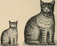 An illustration from Style (1893) (1893)