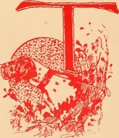 An illustration from Style (1893) (1893)
