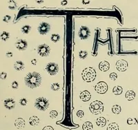 An illustration from Style (1893) (1893)