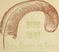 An illustration from Style (1893) (1893)