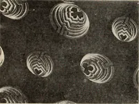 An illustration from Style (1904) (1904)