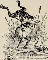 An illustration from Style (1904) (1904)