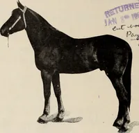 An illustration from Style (1904) (1904)