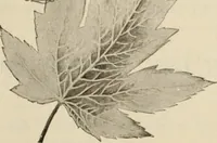 An illustration from Style (1904) (1904)