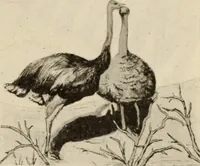 An illustration from Style (1904) (1904)