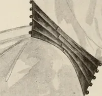 An illustration from Style (1904) (1904)