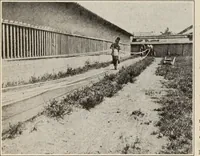 An illustration from Style (1904) (1904)