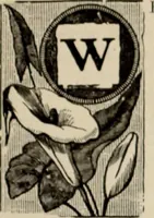 An illustration from Style (1904) (1904)