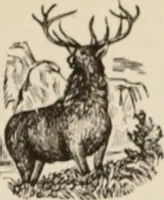 An illustration from Style (1904) (1904)