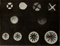 An illustration from Style (1904) (1904)
