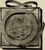 An illustration from Style (1904) (1904)