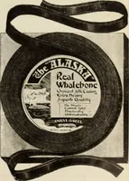 An illustration from Style (1904) (1904)