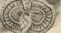 An illustration from Style (1904) (1904)