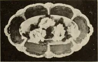 An illustration from Style (1904) (1904)
