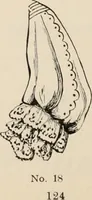 An illustration from Style (1904) (1904)