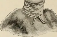 An illustration from Style (1904) (1904)