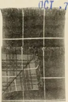 An illustration from Style (1904) (1904)
