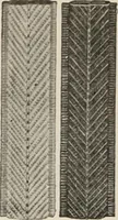 An illustration from Style (1904) (1904)
