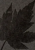 An illustration from Style (1904) (1904)