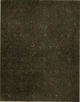 An illustration from Style (1904) (1904)
