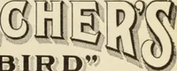 An illustration from Style (1904) (1904)