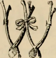 An illustration from Style (1904) (1904)