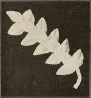 An illustration from Style (1904) (1904)