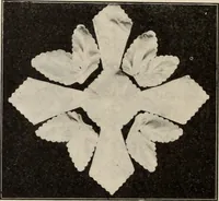 An illustration from Style (1904) (1904)
