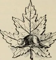 An illustration from Style (1904) (1904)