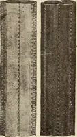 An illustration from Style (1904) (1904)