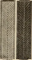 An illustration from Style (1904) (1904)