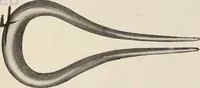 An illustration from Style (1904) (1904)