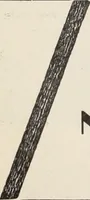 An illustration from Style (1904) (1904)